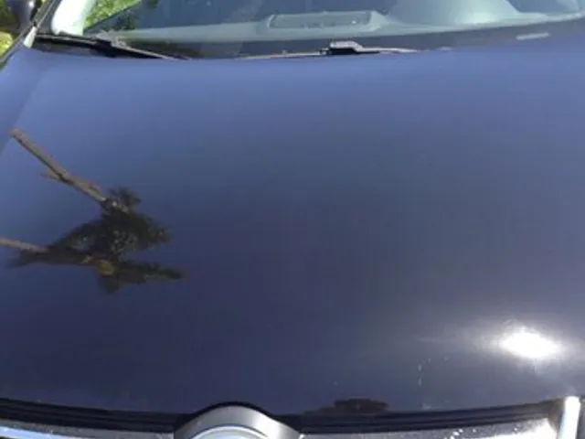 Volkswagen SUV repaired by The Dent Specialist